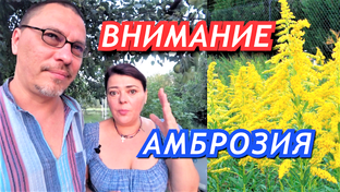Ответ на вопрос
