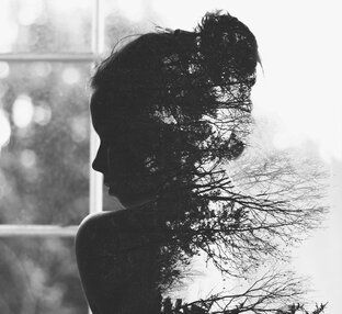 Рассказы из нескольких частей