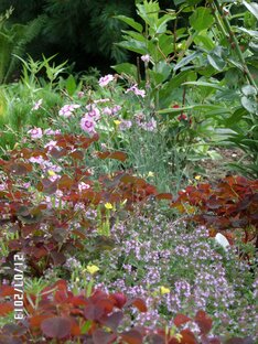 Цветоводство