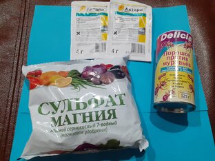 Практические советы по агротехнике пионов , мартагонов и не только. 