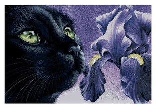 Любимые крестики.