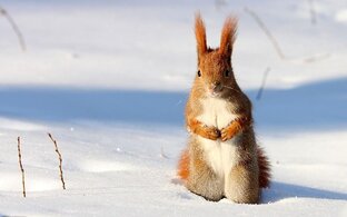 Мои рекомендации