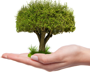 Сад и естествознание