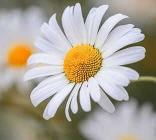 Мои рассказы, озвученные Николаем Ходовым