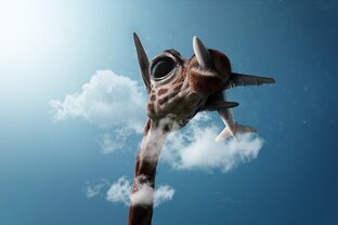 Фотокартины и коллажи