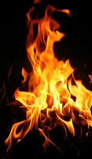 Блюда на костре