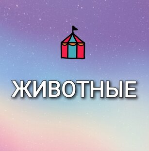 Животный мир 🐾🐾🐾