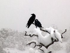 Новое, неизвестное...