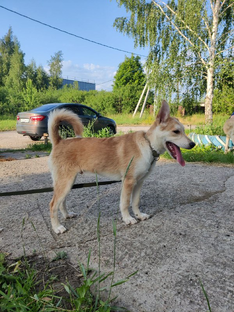 Наши подопечные 