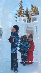 Эмиграция наоборот