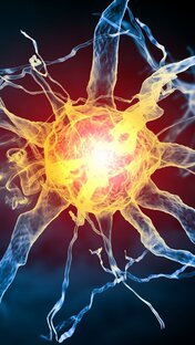 НЕЙРОДИНАМИКА 