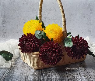 Хризантемы 