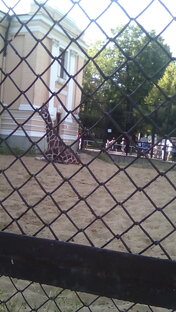 просто стихи 