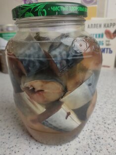 Рыба и Ко🦑🦐🐟