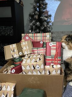 Адвент-календарь