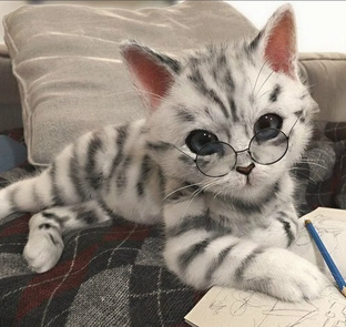 Готовимся к ЕГЭ