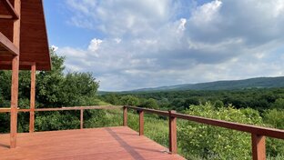 Дом рядом с лесом и рекой