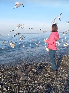 Богатый папа, бедный папа 