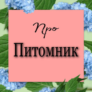  ДОМ ГОРТЕНЗИЙ