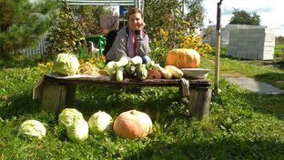 Про огород, рассаду и семена.