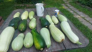 Кабачки на зиму