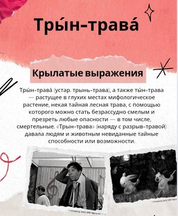 Инфографика (крылатые выражения) 