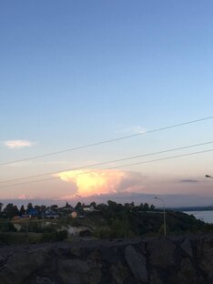 Друзья в Дзен