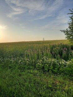 Путешествия по Московской Области