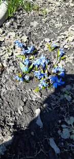 ЛЕТНИЕ РАБОТЫ НА ПАСЕКЕ