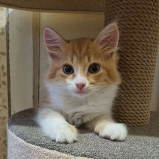 Тариф с оплатой за просмотры. Жуткие последствия. 