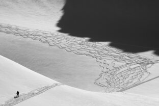 Чёрно-белая фотография
