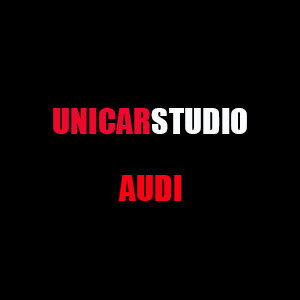 Мультимедийные регения для Audi