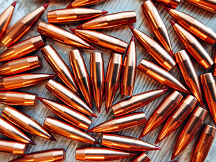 Выбираем пулю для своего ствола