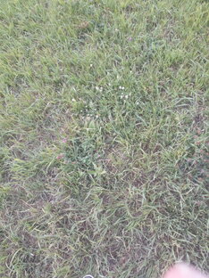 Дом,быт и прочее