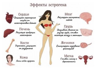 Гормональный баланс