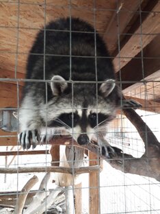 Моя история с диагнозом