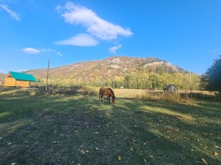 Туры по Башкирии 