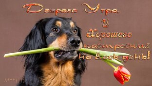 Отдыхай с нами!