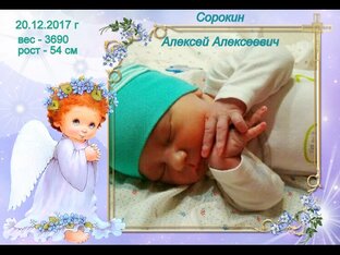 СЕМЬЯ