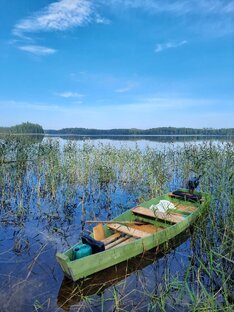 Рыбалка сетями #shorts