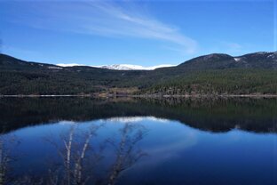 Скандинавия