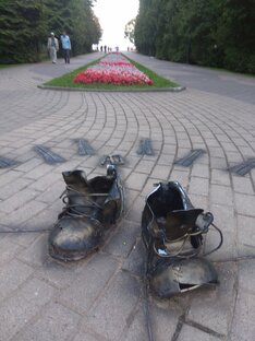 На день из Питера