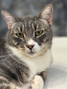 Они хотят домой