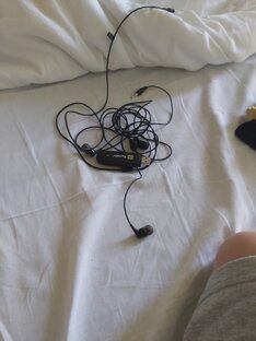 Рубрика "робогоша"