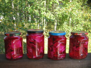 Заготовки на зиму