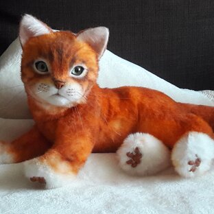 Рыжий котик