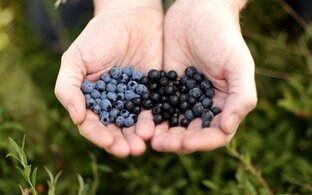 Полезные советы для укрепления здоровья