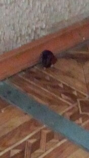 Моё окружение