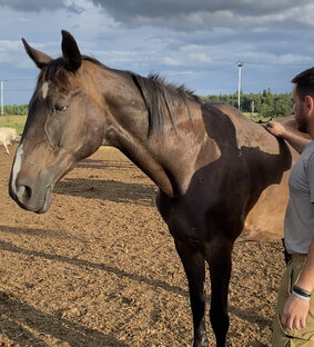 Годные статьи