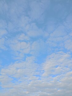 Путешествия за 1 день